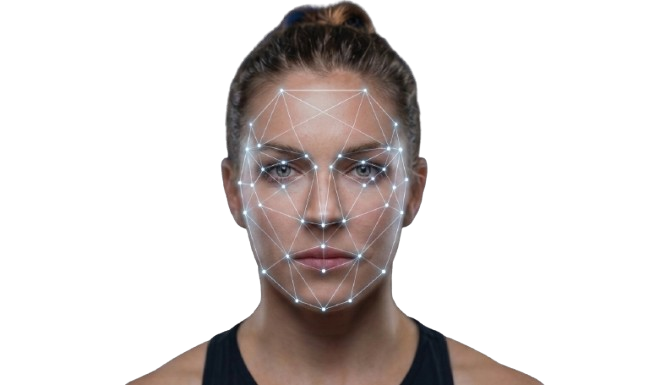 AI face recognition mesh