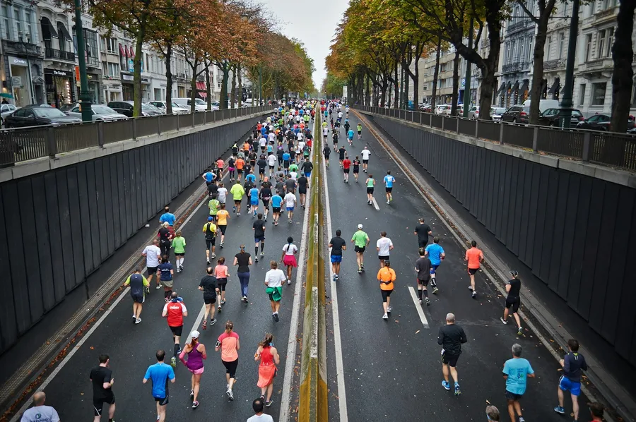 Runners on a tree-lined road during a race